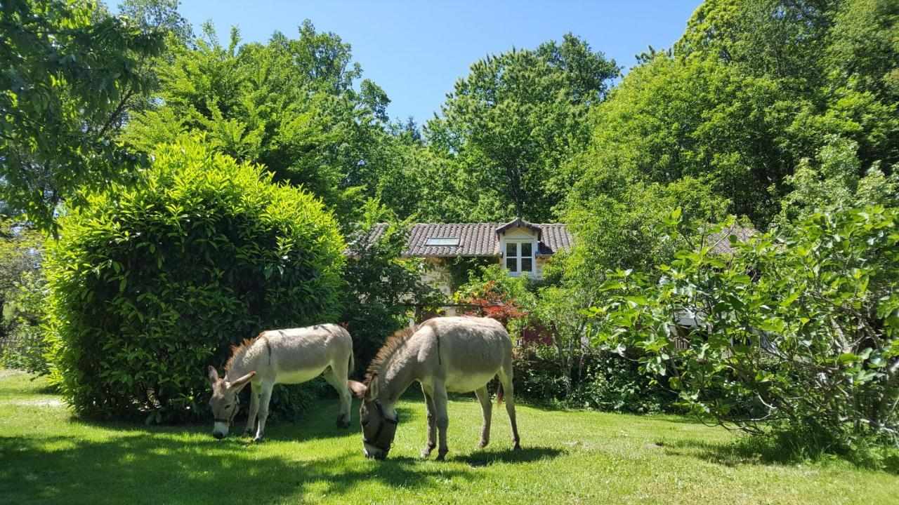 Le Moulin De Pensol - Gites Exteriör bild